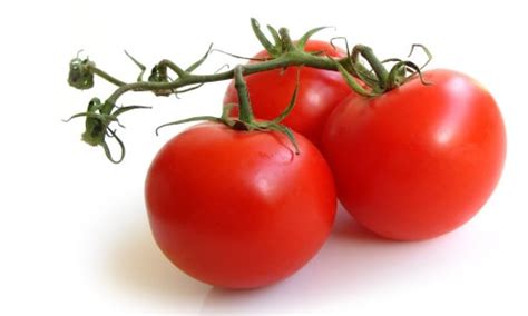 Чем подкормить рассаду помидор чтобы они были крепкими и толстыми?