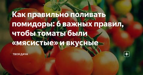 Чем поливать помидоры чтобы были вкусные?