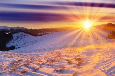 Чем заменить солнечный свет зимой?