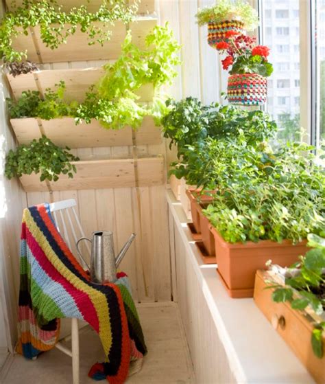 Что можно посадить на маленьком балконе?
