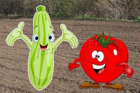 Что можно посадить вместе с помидорами?