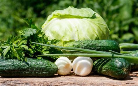 Какие овощи можно выращивать без полива?