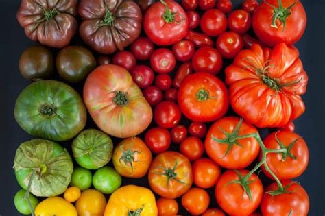 Какие помидоры можно брать на семена?