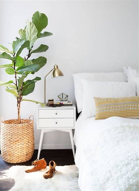 Какие растения лучше держать в спальне?