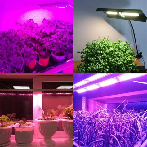 Какой искусственный свет лучше для растений?