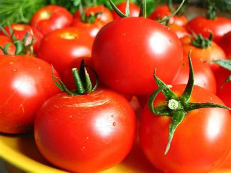 Когда можно сеять томаты в марте?