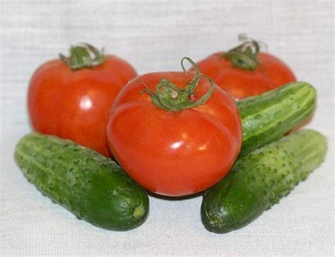 Можно ли выращивать огурцы и помидоры в одной теплице?