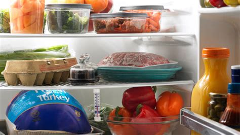Сколько нужно держать семена в холодильнике?