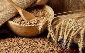 Сколько стоит 1 тонна пшеницы?