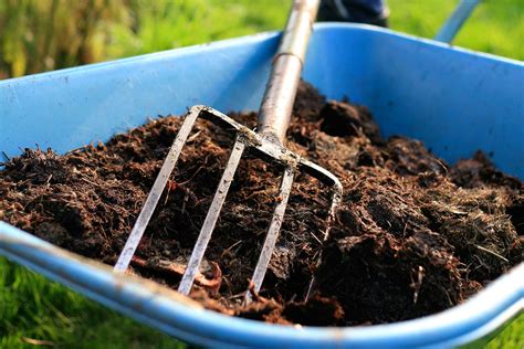 Сколько вермикулита добавлять в почву для рассады?