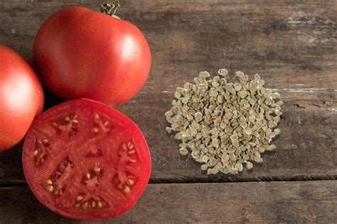 В чем лучше замачивать семена томатов перед посадкой?